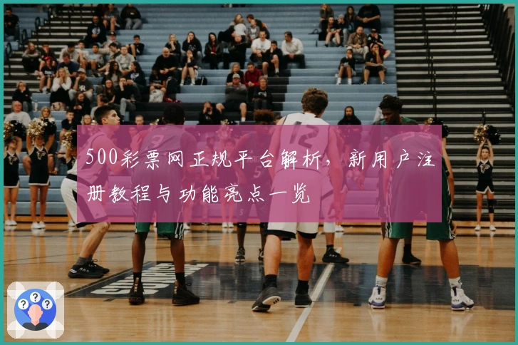 500彩票网正规平台解析，新用户注册教程与功能亮点一览