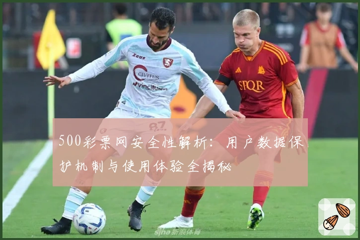 500彩票网安全性解析：用户数据保护机制与使用体验全揭秘