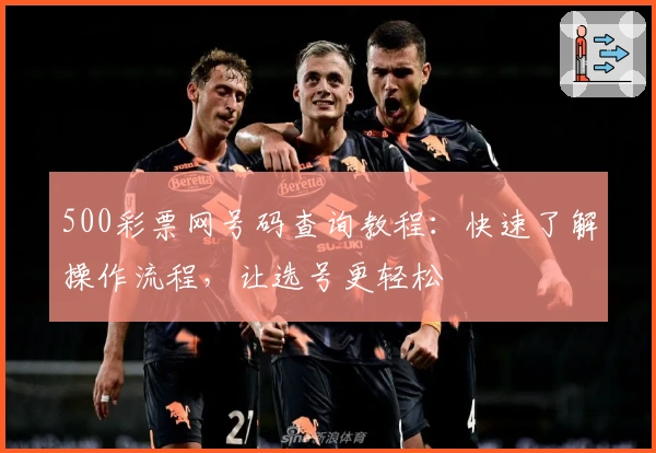 500彩票网号码查询教程：快速了解操作流程，让选号更轻松